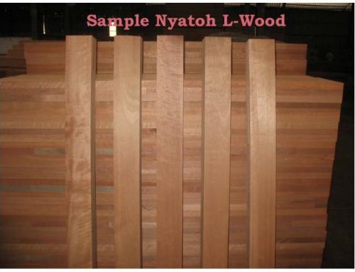 Sample Nyatoh Wood